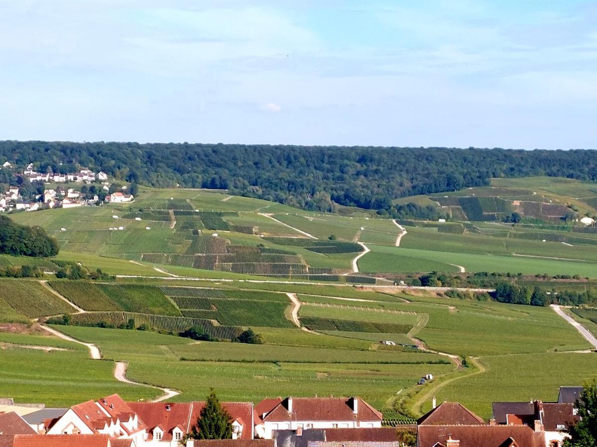 Épernay capital de Champagne Appartamento Esterno foto